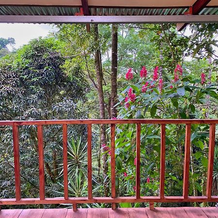La Fortuna Princesa De La Luna Ecolodge מראה חיצוני תמונה