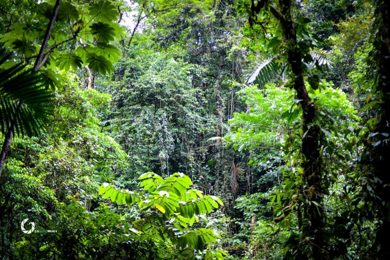 La Fortuna Princesa De La Luna Ecolodge מראה חיצוני תמונה