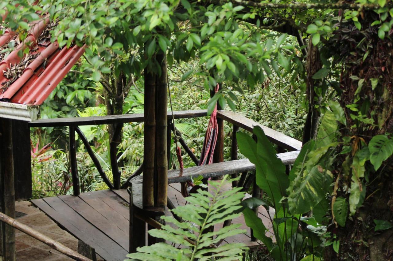 La Fortuna Princesa De La Luna Ecolodge מראה חיצוני תמונה