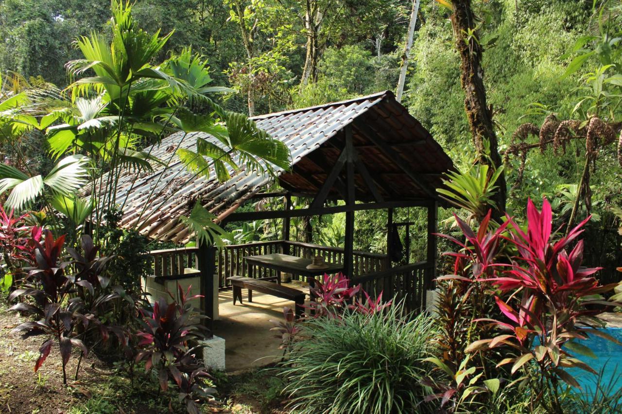 La Fortuna Princesa De La Luna Ecolodge מראה חיצוני תמונה