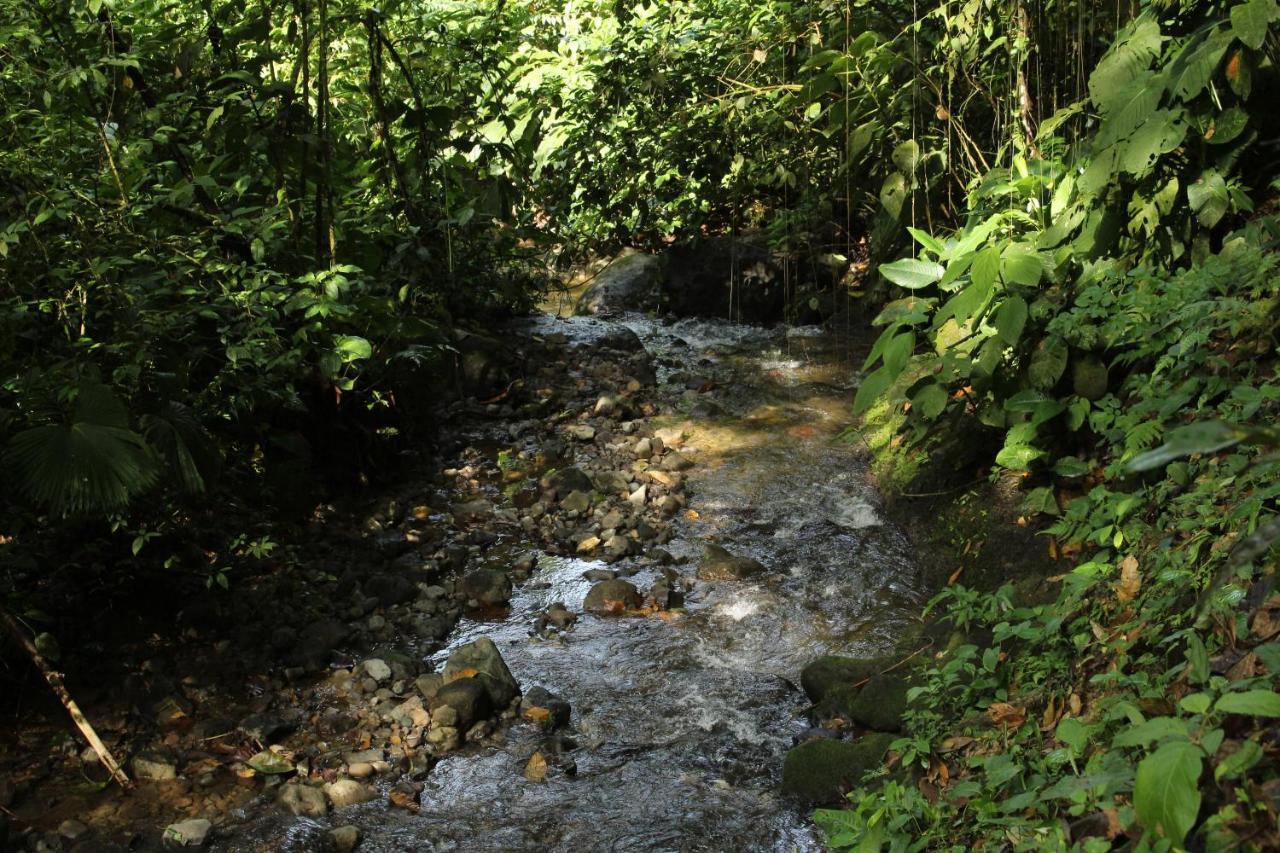 La Fortuna Princesa De La Luna Ecolodge מראה חיצוני תמונה