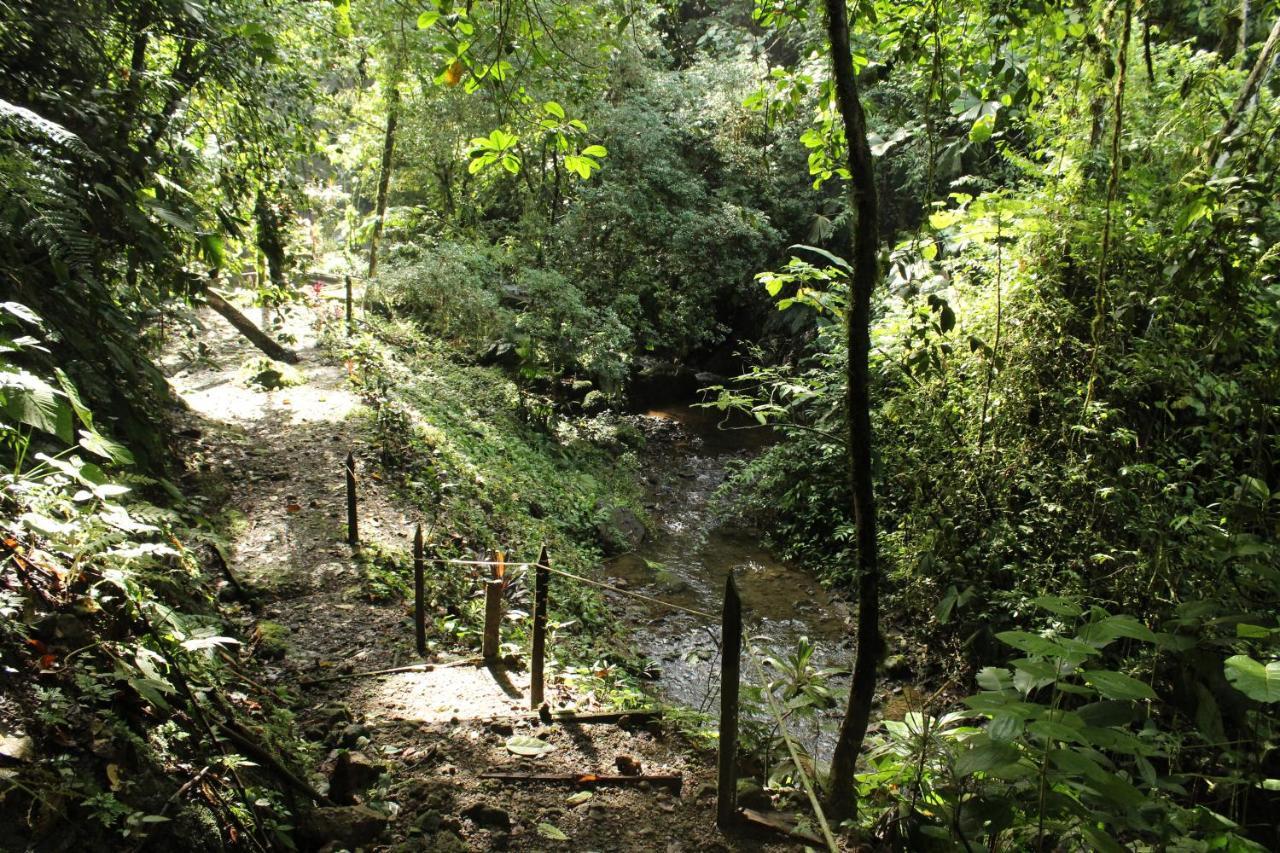 La Fortuna Princesa De La Luna Ecolodge מראה חיצוני תמונה
