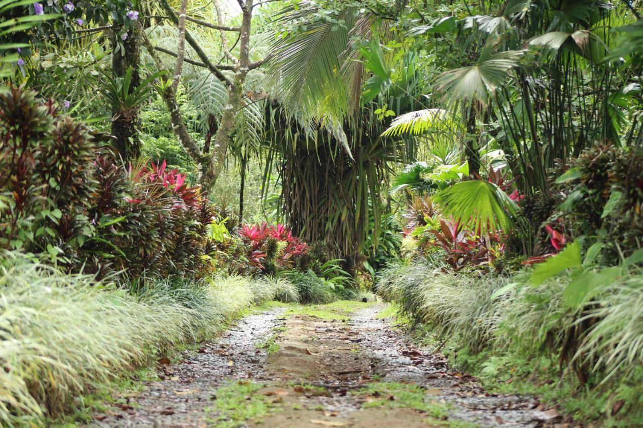 La Fortuna Princesa De La Luna Ecolodge מראה חיצוני תמונה