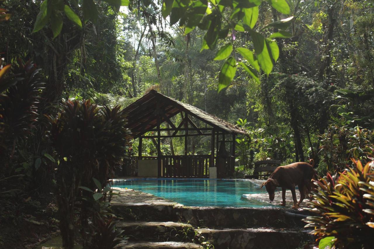 La Fortuna Princesa De La Luna Ecolodge מראה חיצוני תמונה