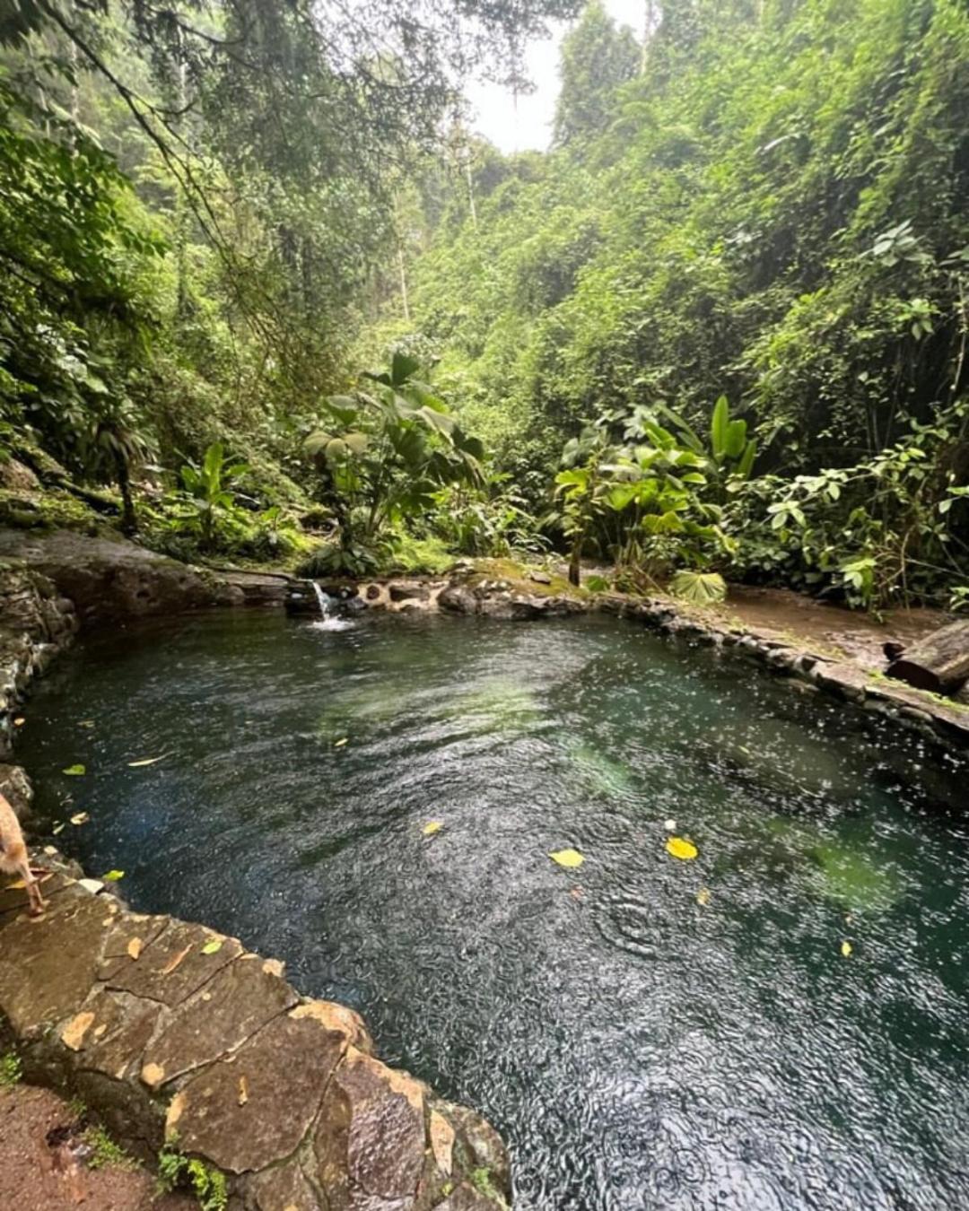 La Fortuna Princesa De La Luna Ecolodge מראה חיצוני תמונה