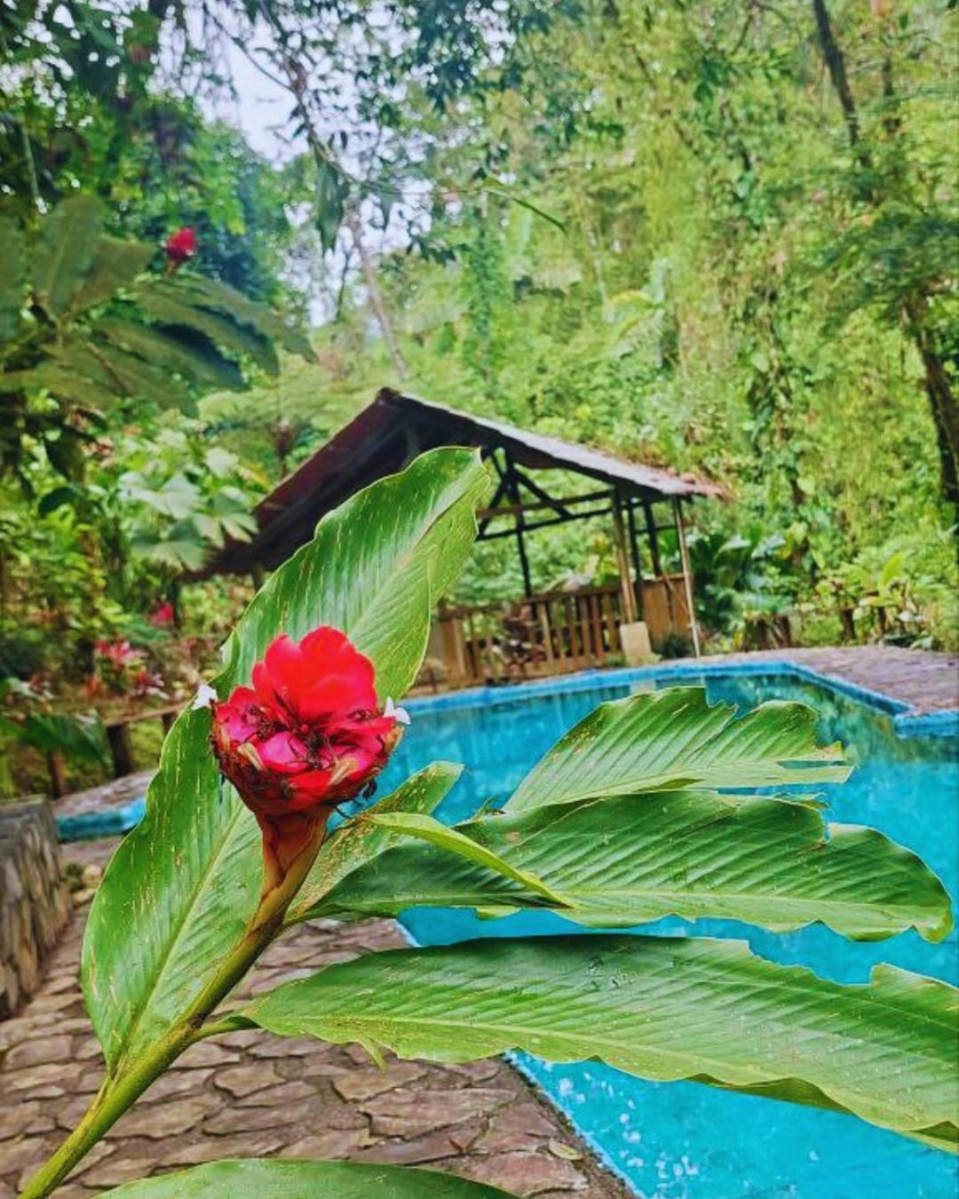 La Fortuna Princesa De La Luna Ecolodge מראה חיצוני תמונה